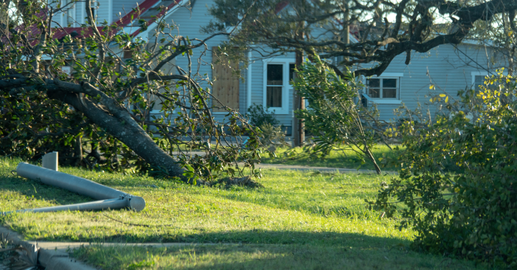 Hazardous Limb Removal – J&j Tree Care Professionals