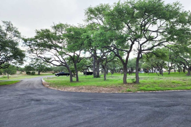 tree planting san antonio