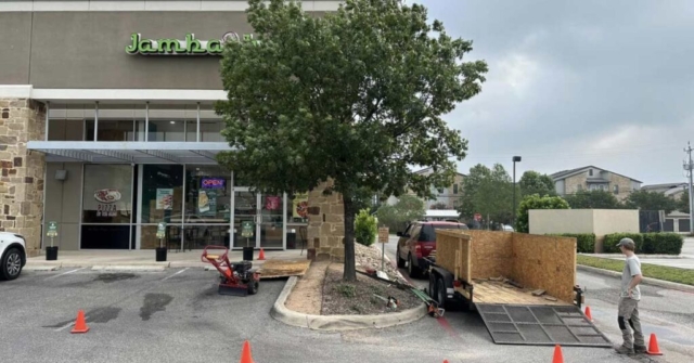 tree trimming san antonio