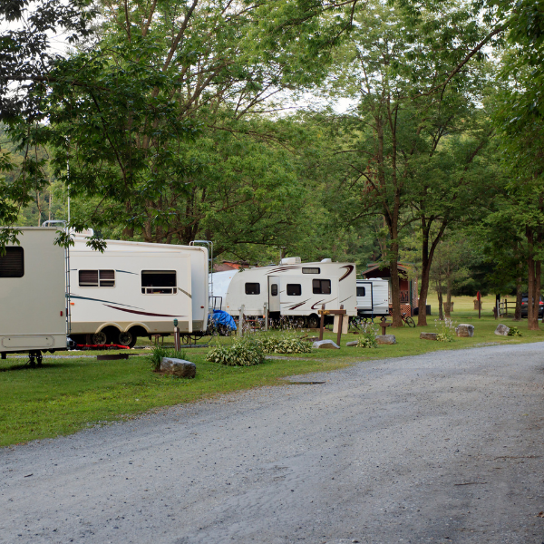 Picture of a campground and RV park with well-managed trees.