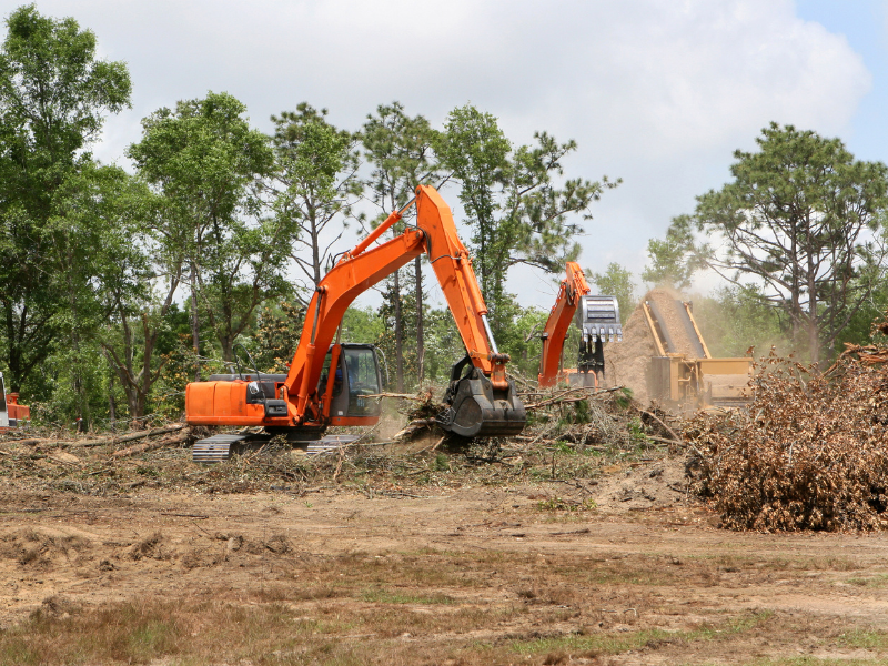 An image showing land clearing services by J & J Tree Care Pros.