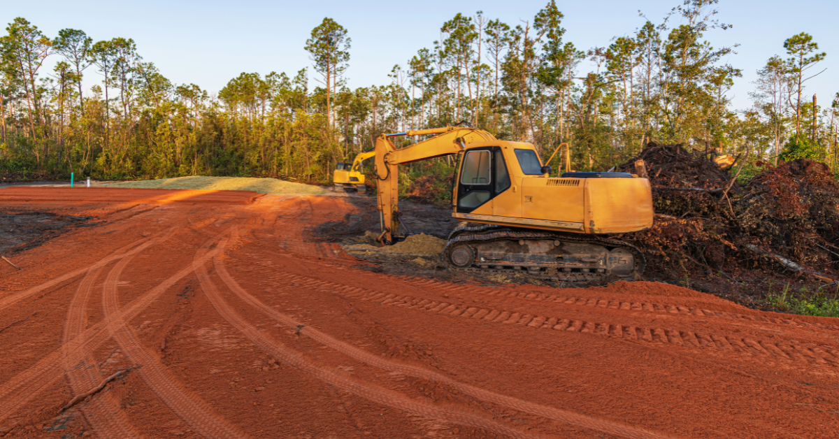 Featured image showing clearing trees from land in San Antonio, TX.