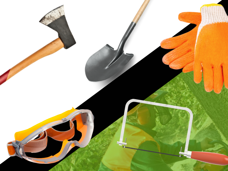 Image showing tools and equipment needed to remove a tree trunk.