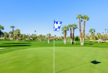 Image showing a well-maintained country club landscape due to tree service.