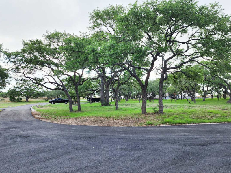 An image of San Antonio, TX, with freshly managed trees.