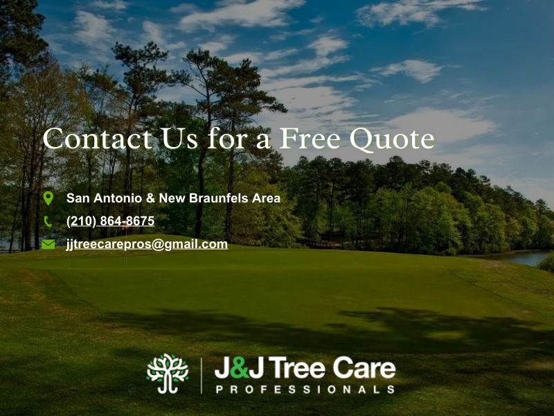 An image inviting readers to request a free land clearing quote from J & J Tree Care Professionals.