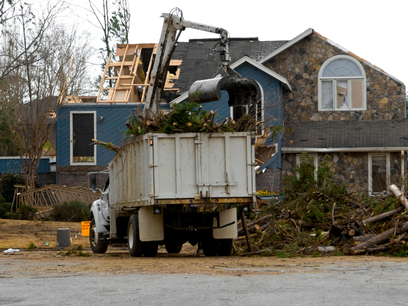 Picture demonstrating emergency tree service options from quality tree services.