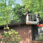 Image demonstrating enhanced safety measures in tree services.