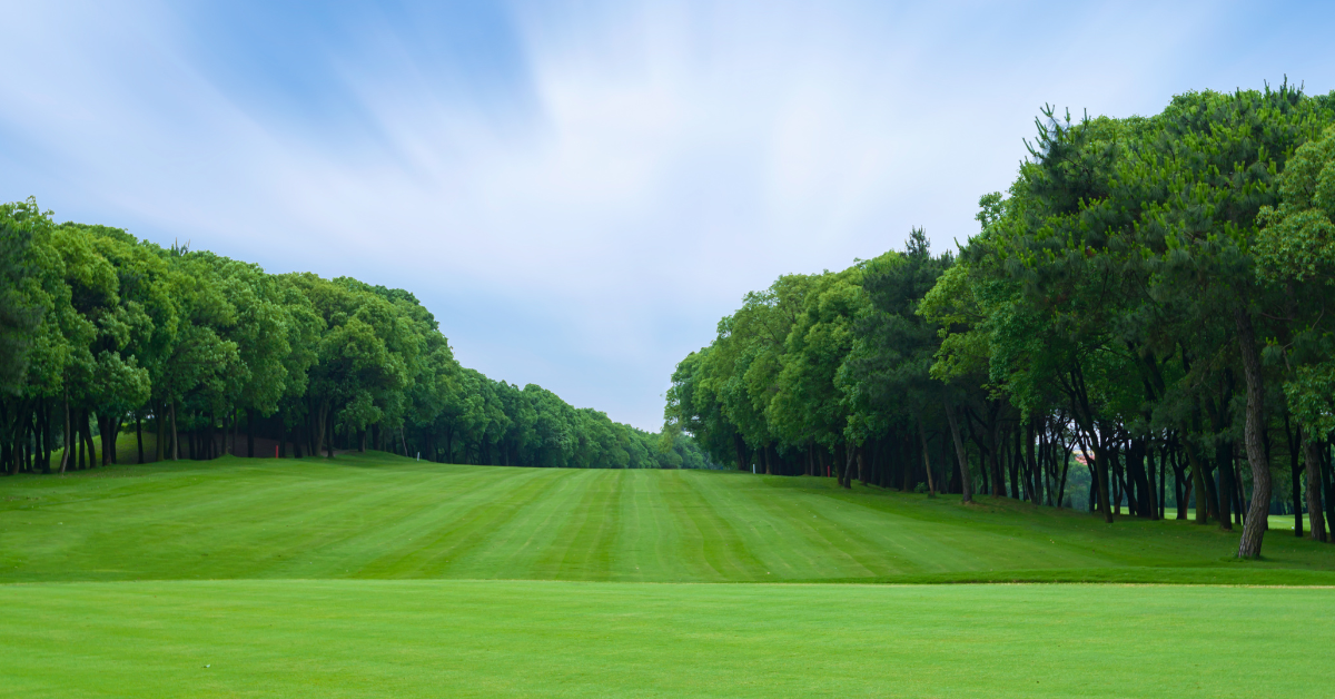 Image showing a well-maintained golf course after tree service.