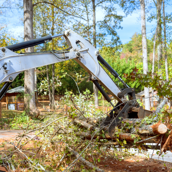 Picture of a land area being cleared of trees by a tree removal specialist.