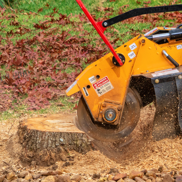 Picture of a stump being removed by a tree company.