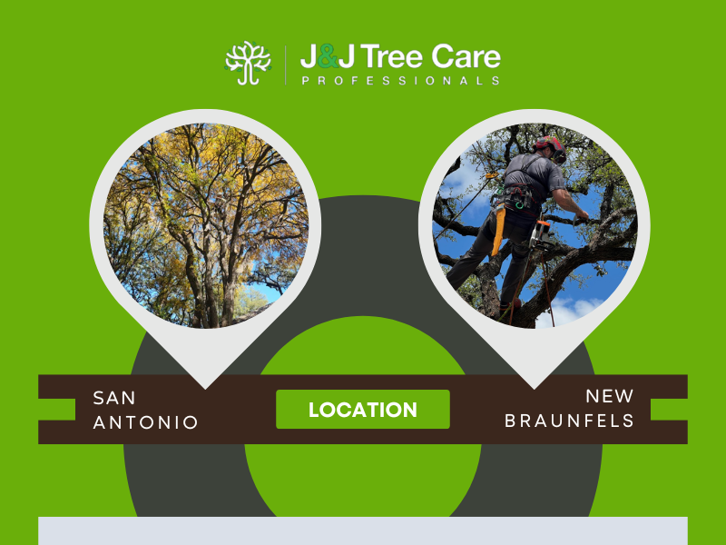 Image representing locations where J & J Tree Care will remove a tree trunk.