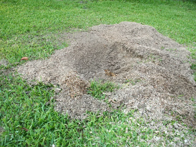 Picture showing the "after" of stump removal services in Texas.